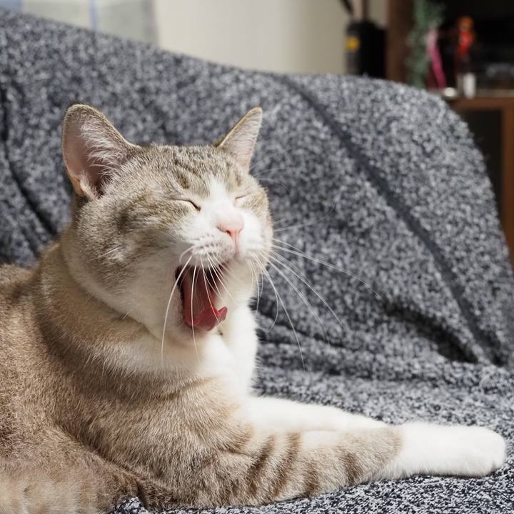 229d00d4 9f31 41b2 aae1 dd1f8754aabf 1600168491924