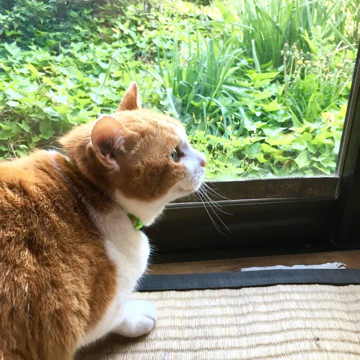 229d71f3 8f7f 483a bdd4 01c057b5cbfd 1557528356795