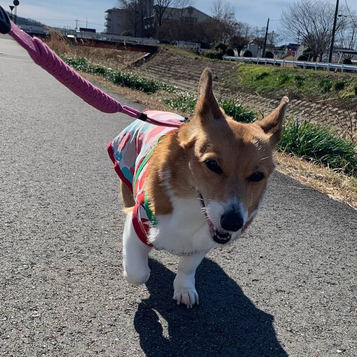 229d780d 32c5 4413 a416 e63e12f905c2 1703673100707