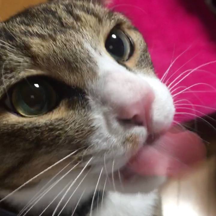 229db5e4 6f94 4c58 841a 55311e660c79 1705059518695