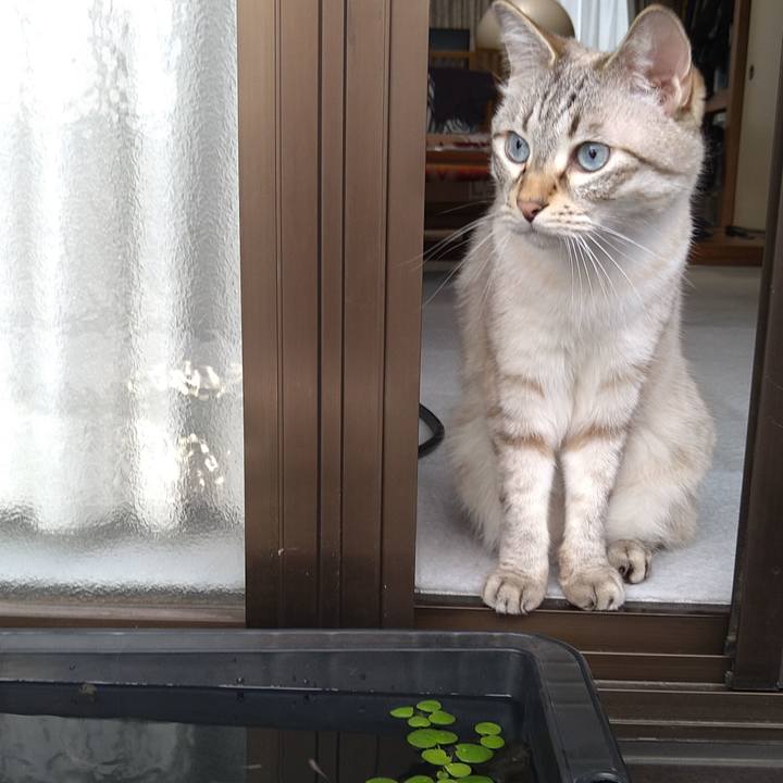 229de014 adac 4d89 9abc 7bb0ce6eb667 1628932181864