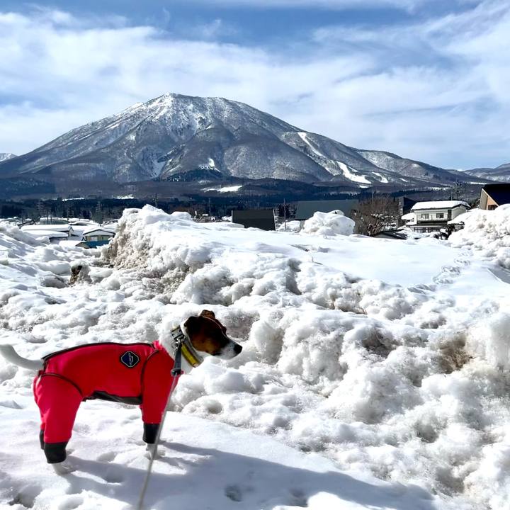 229de32a 5ce7 44e0 aa67 46b5521c4940 1645943290403