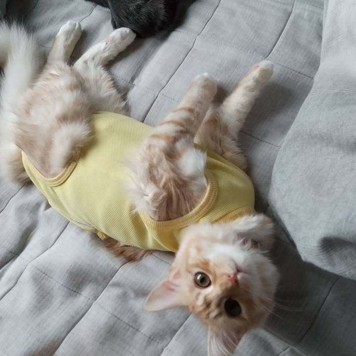 229e1d28 9323 4b78 b9f0 348edad97645 1615245792470