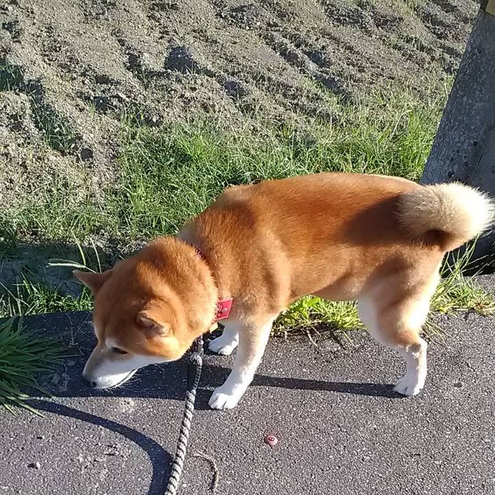 229e1dbe 8368 4771 8643 eca82d4149d4 1597621494652