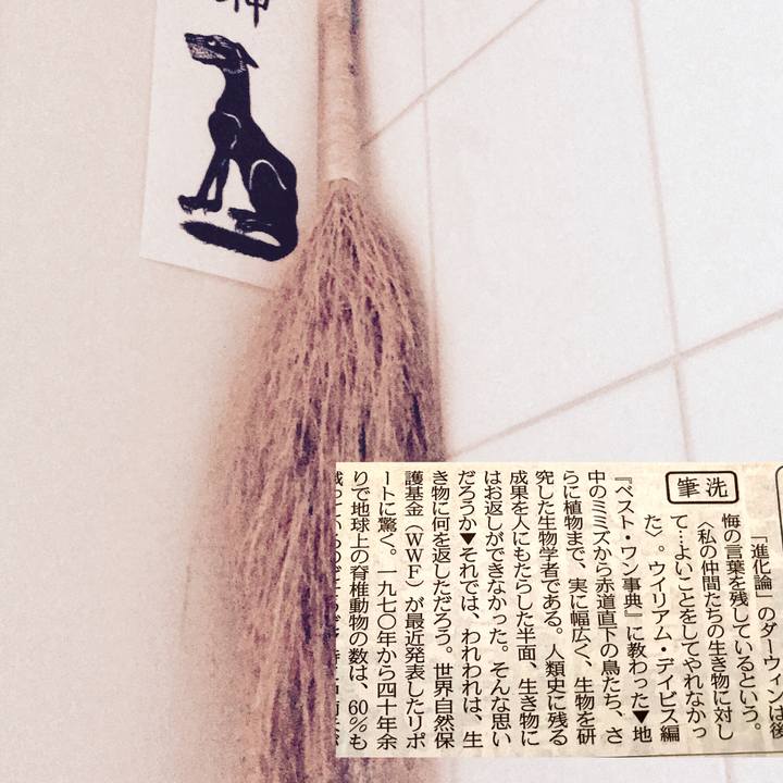 229e3943 eb5c 48f6 866b 77ffe321d926 1542506211655