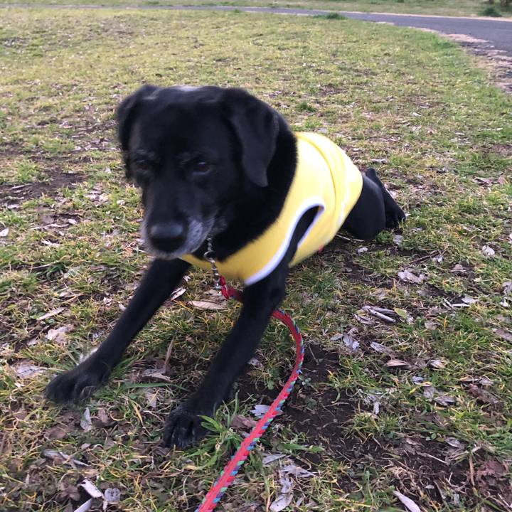 229e4460 d4ec 4417 9a1b eb11db9705a8 1581942304376