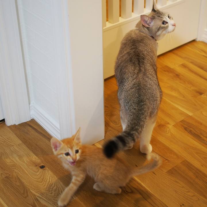 229e4468 6107 41ba 9db1 8cc0eec67c53 1571986529319