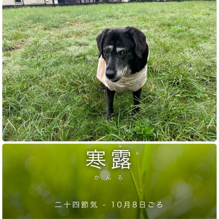 229e8c2e 93cf 425e ad69 15ea03e5f712 1728358057072