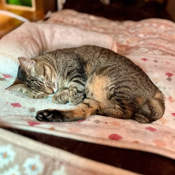 229e9d5f e1a5 4983 9bc5 98b85c6a5649 1706070461825