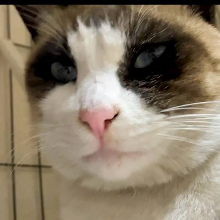 229eb85a c6a2 4123 9458 b1d557eaeeee 1738237407271