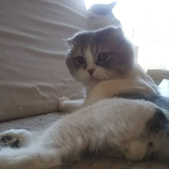 229eb9ea 0dbd 42ca a2cc f1fe3956184f 1627261559100