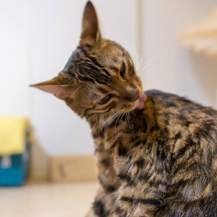 229ee369 1602 4592 b48c 2fff1e9491d2 1518713399126