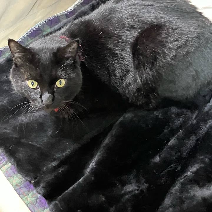 229ee666 233b 44a6 ba13 fd00164b8f4f 1666321546091