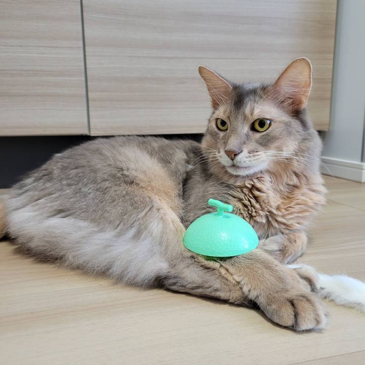 229eecb4 fc06 4caf 8788 5c4518b1f767 1662428194668