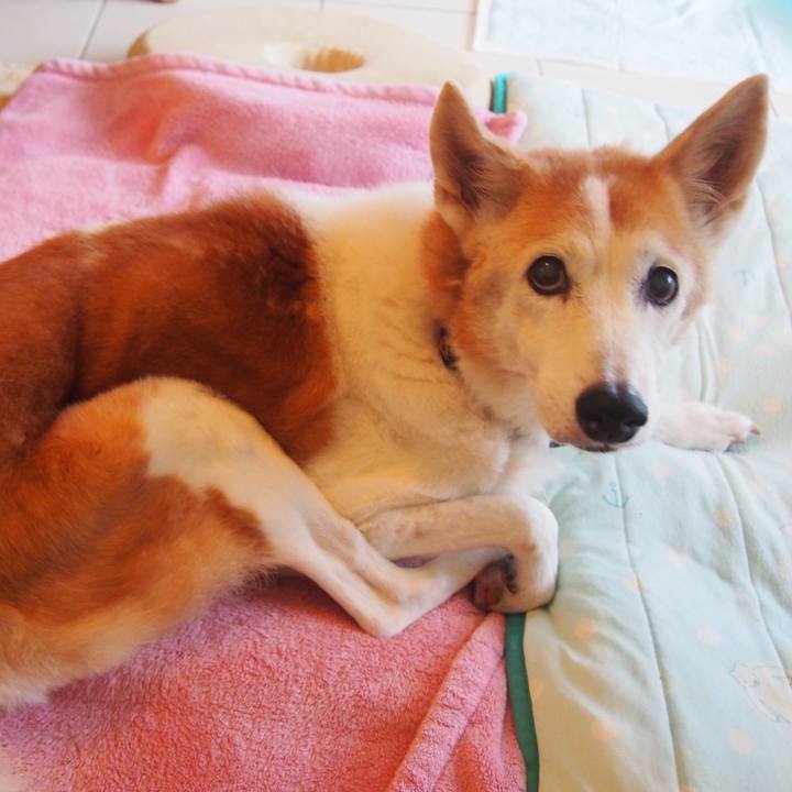 229f407f 7dae 45be b6f9 df4a4770c24e 1548129358732