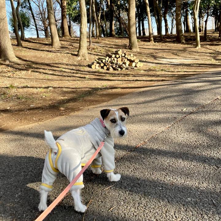 229f69c3 6887 4d1b 83ee 6ec3b30f5b17 1676442770178