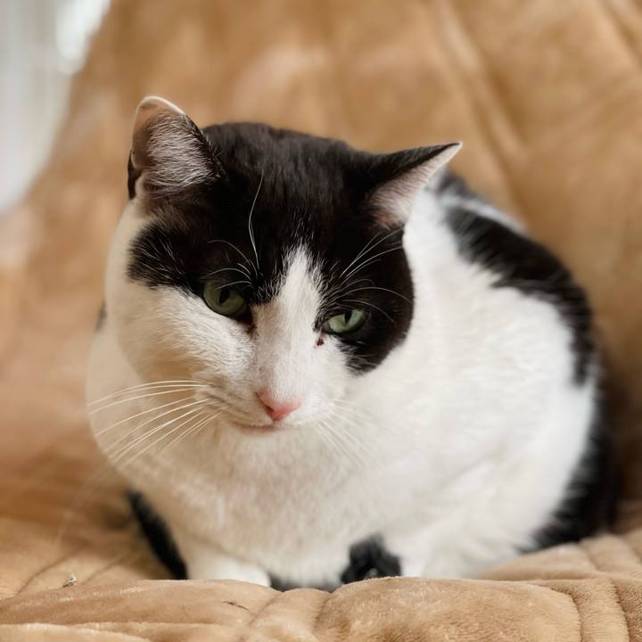 229f7580 3d86 4969 a7f2 a54847293980 1644718068974