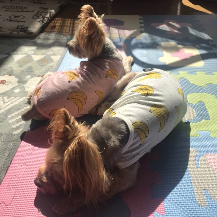 229fad32 af4e 4fc8 b02d a11fe3f2ade4 1614852159065