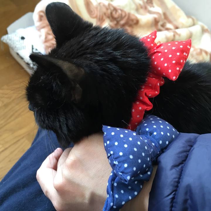 229fbe7e 2403 45f3 b649 8229096636c6 1553318469519