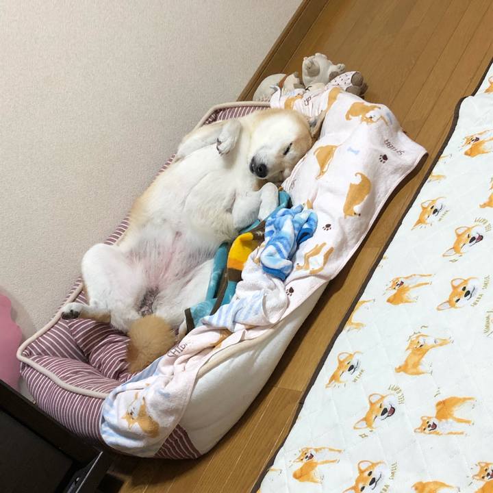 229fcec8 9a2f 4d99 b85f 938ffd069e96 1602594235740