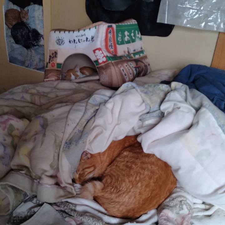 229fcecd 1dae 416e 8acf e35793e87d7a 1728685937698