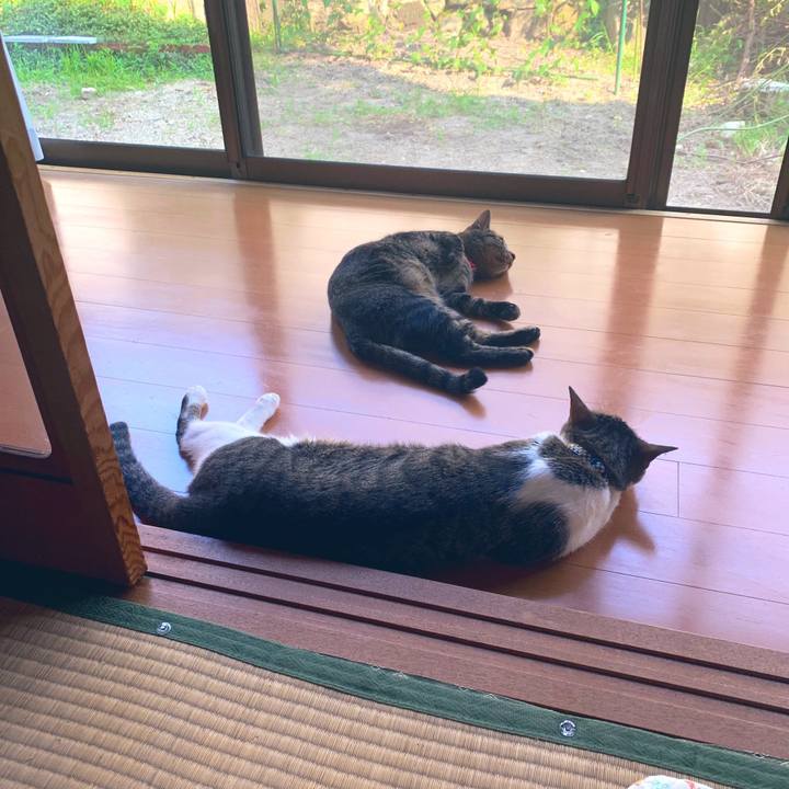 229fe924 3d96 4610 a966 e75dba5ada97 1564645031075