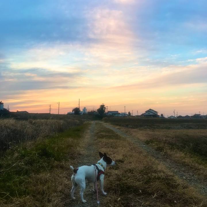 229ff1c5 7bbe 4351 8f33 73507d392291 1514023311747