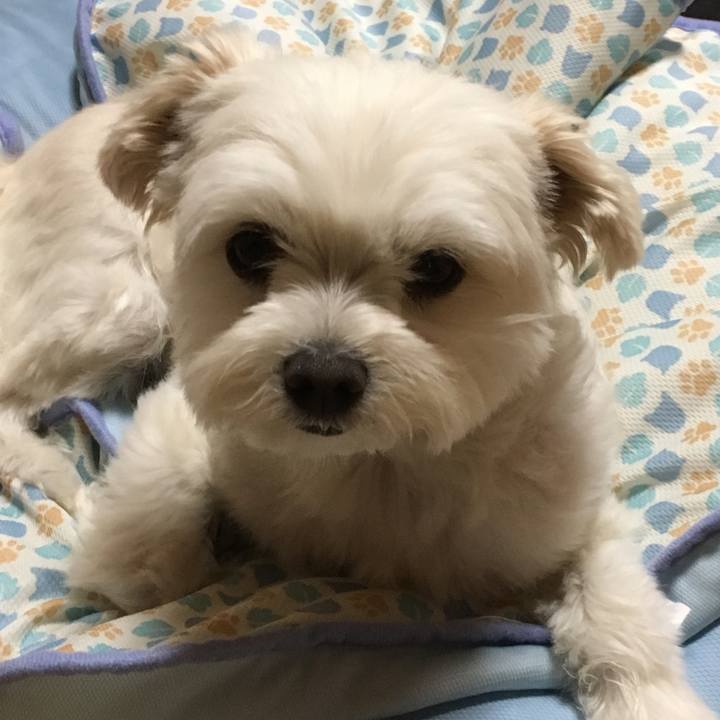 22a00535 5186 4325 bbce 7bc03b938337 1528020253834