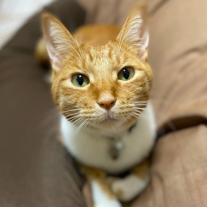 22a075a4 486d 498b bd56 c2d8a9d2e6e2 1630751805382