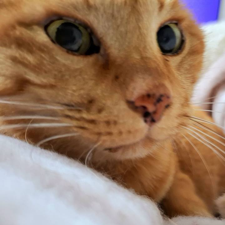 22a09dae 6c94 46a4 991a 3f243bcf7d13 1731714403360