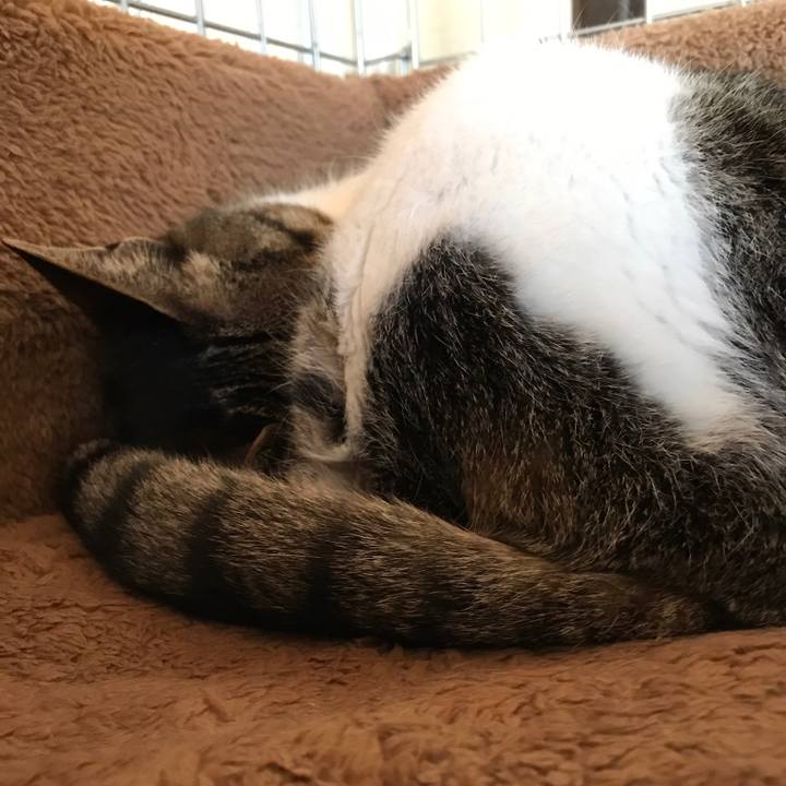 22a0bacc 5aef 439c 9f33 777e049bd8c3 1519087022995