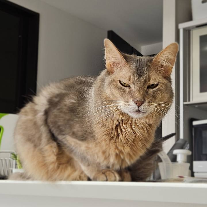 22a0bed1 1e64 4370 b486 ca22e651fa53 1769406067904