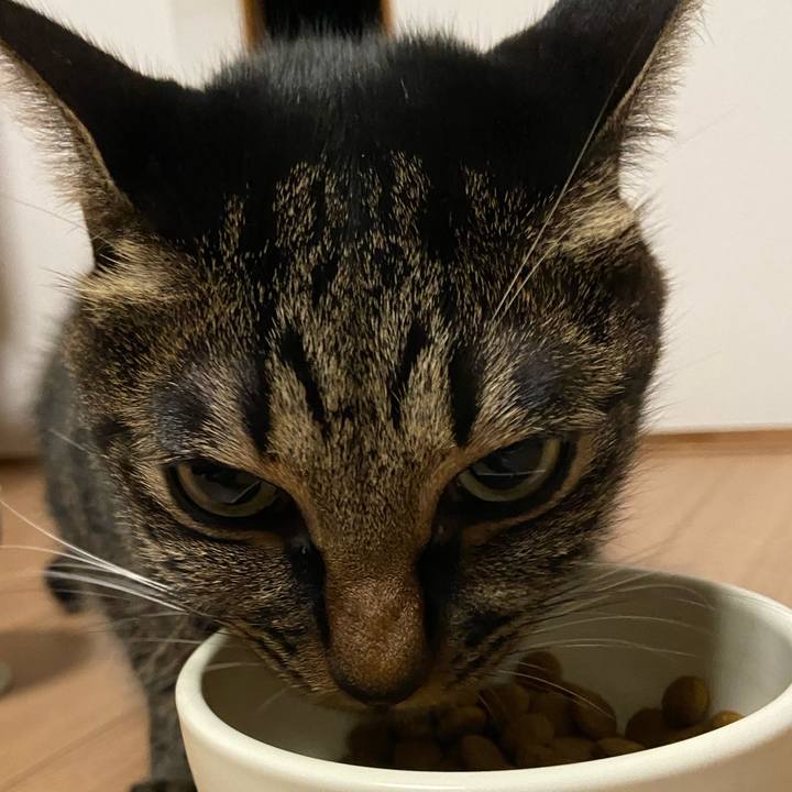 22a0f305 fda3 4b94 8f57 802bf84f47ca 1701172355535