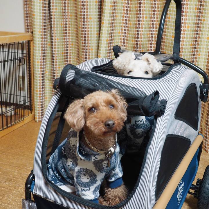 22a131d4 73c8 40c8 b84c ac566707b23a 1572183749518