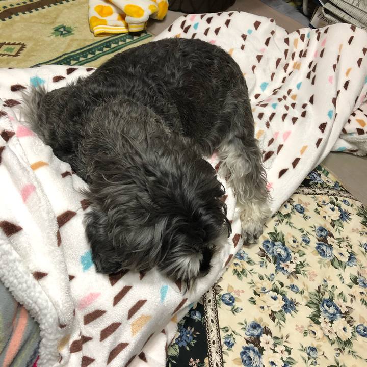 22a134a8 ea29 4ec0 ba6d 40f298810812 1646218371875