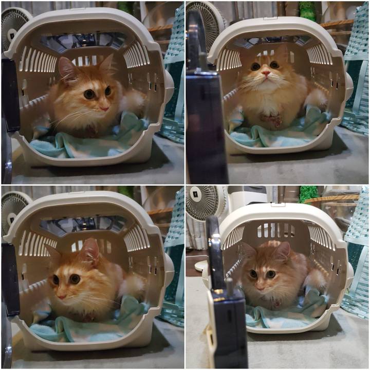 22a13d50 7cf8 41ff 8ba1 200f05b5e956 1691065827309