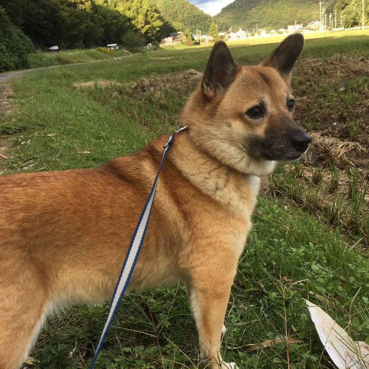 22a17881 42f0 49c6 920f 98fbfb16a60b 1508756363403