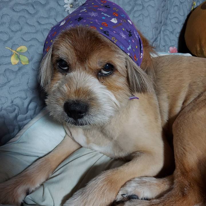 22a184cd 15af 4759 a854 fbf7a9b689b8 1633615756507