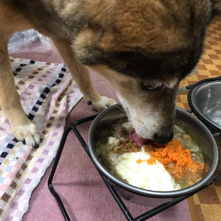 22a1a294 fdb6 4f34 8b7c 8f75f2836a8a 1556622505107