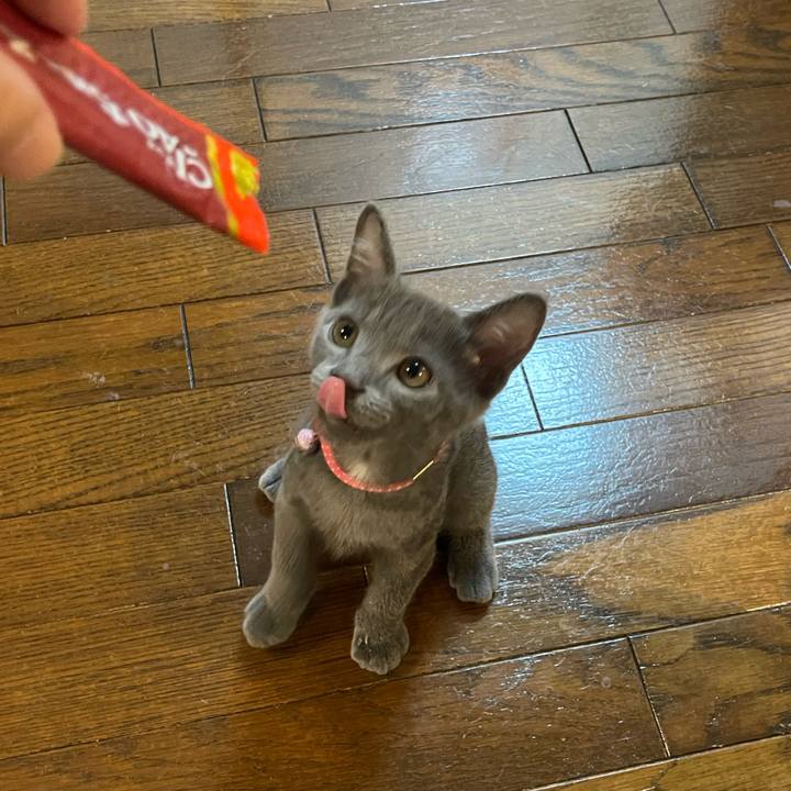 22a1d8ab 0bb2 4b5b a34a 440586190e8a 1758113924588