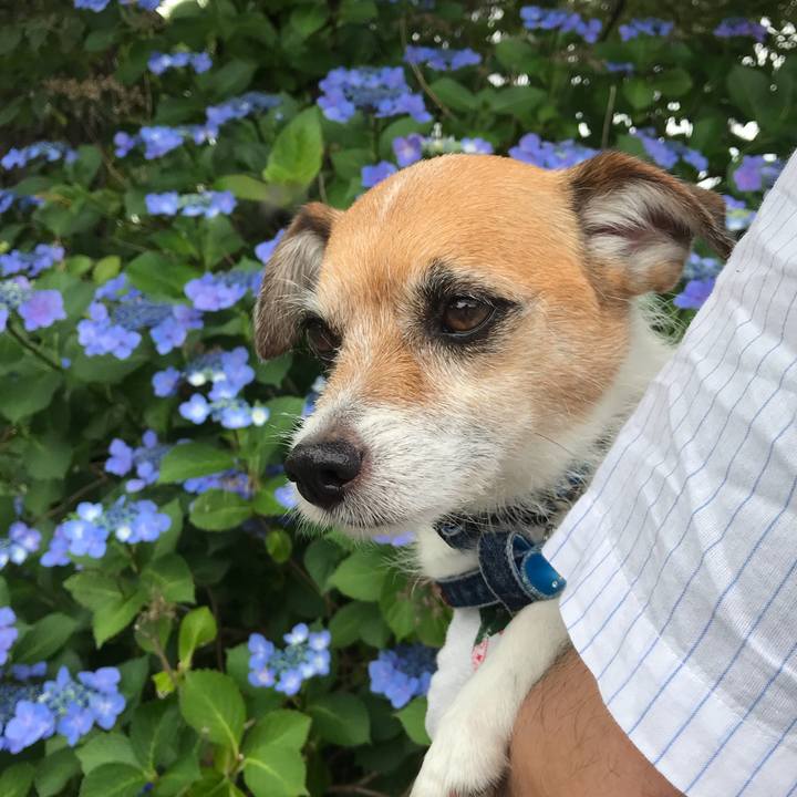 22a23d04 dccd 4929 a9db a6d59873d0db 1561116728135