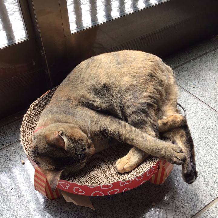 22a277b0 1595 4125 8bda 88edcfabd762 1583552974500