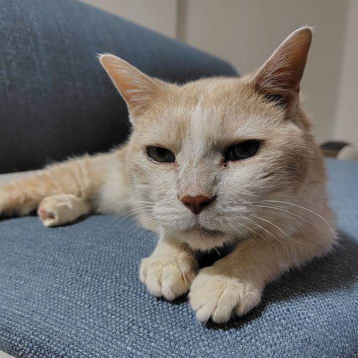 22a2898a 8429 458e 95d7 ec6651bf9481 1725166332674