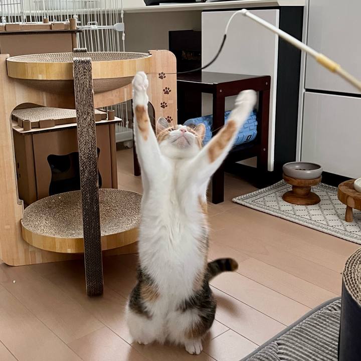 22a29a3a bfbc 4c5c abc8 efd4092fe5ae 1764039352757