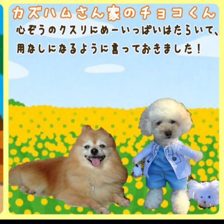 22a2a0be b59d 47e9 b0b8 a4c135d67be4 1532309247529