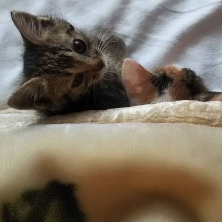 22a2df6f 1d44 406b b759 a59c2cc65f26 1633252966156