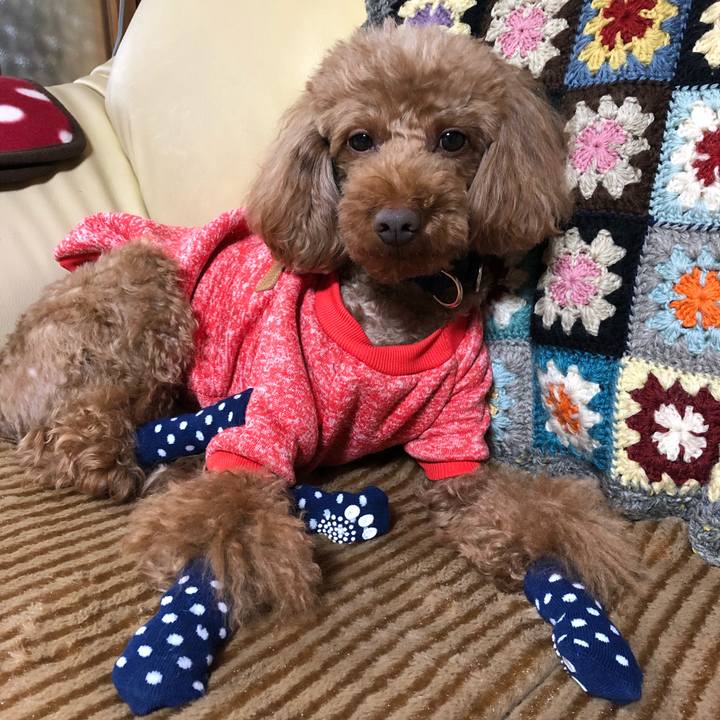 22a2ea37 bdd0 40c7 8ab3 5eeb79405d87 1548123387714