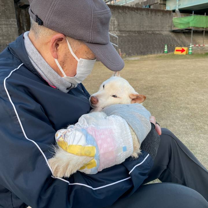 22a307d9 1b05 411d 8a4a cd51c4934d39 1671460721140