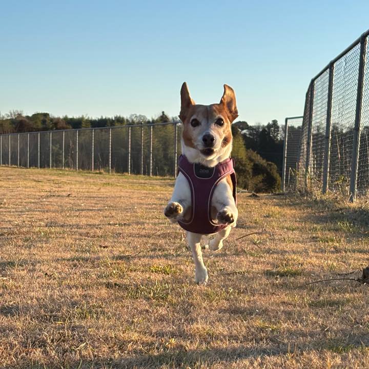 22a327a7 e6a1 4bc4 85ce 8c3bb146c239 1766917709140