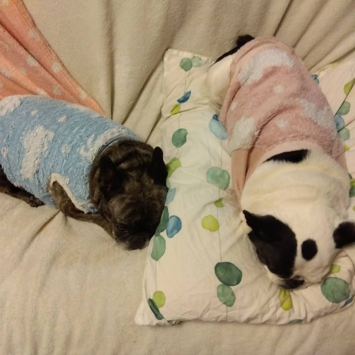 22a32ec4 f77d 4a4c a138 4443ba645146 1704004555448